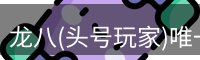 头号玩家龙8